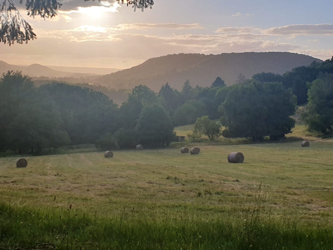 View from the centre